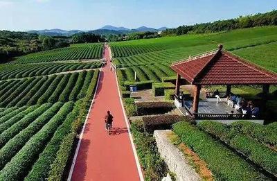 一市三省推荐！宜兴上榜！休闲观光活动引领文旅新风尚