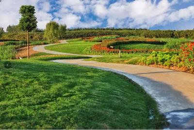 露营、高尔夫、花海… 荆州又一休闲观光新地标