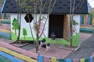 秋日拾趣，乡野寻踪 '郊区美如画'之乡村采摘观光季