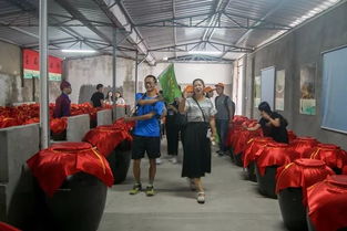 福建新增休闲观光好去处 诏安梅之韵青梅文化观光工厂荣获省级殊荣