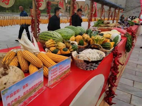 吴忠市曹泥洼村丰收节 休闲农业精品线路推介与农民欢庆共绘乡村振兴新画卷