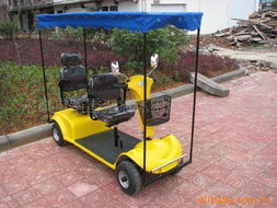 永康市踏雪无痕休闲用品有限公司 电动观光车产品系列，助力休闲观光活动新体验